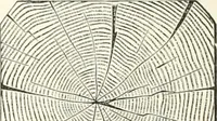 An illustration from A dictionary of architecture and building : biographical, historical, and descriptive (1902)
