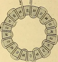 An illustration from A dictionary of electrical words, terms and phrases (1898)
