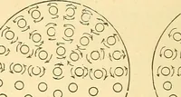 An illustration from A dictionary of electrical words, terms and phrases (1898)