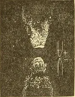 An illustration from A dictionary of electrical words, terms and phrases (1898)