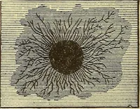 An illustration from A dictionary of electrical words, terms and phrases (1896)