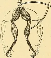 An illustration from A dictionary of electrical words, terms and phrases (1896)
