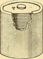 An illustration from A dictionary of electrical words, terms and phrases (1896)