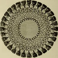 An illustration from The dictionary of needlework : an encyclopaedia of artistic, plain, and fancy needlework dealing fully with the details of all the stitches employed, the method of working, the materials used, the meaning of technical terms, and, where necessary, tracing the origin and history of the various works described (1882)