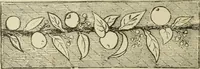 An illustration from The dictionary of needlework : an encyclopaedia of artistic, plain, and fancy needlework dealing fully with the details of all the stitches employed, the method of working, the materials used, the meaning of technical terms, and, where necessary, tracing the origin and history of the various works described (1882)