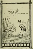 An illustration from The dictionary of needlework : an encyclopaedia of artistic, plain, and fancy needlework dealing fully with the details of all the stitches employed, the method of working, the materials used, the meaning of technical terms, and, where necessary, tracing the origin and history of the various works described (1882)