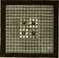 An illustration from The dictionary of needlework : an encyclopaedia of artistic, plain, and fancy needlework dealing fully with the details of all the stitches employed, the method of working, the materials used, the meaning of technical terms, and, where necessary, tracing the origin and history of the various works described (1882)