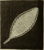 An illustration from The dictionary of needlework : an encyclopaedia of artistic, plain, and fancy needlework dealing fully with the details of all the stitches employed, the method of working, the materials used, the meaning of technical terms, and, where necessary, tracing the origin and history of the various works described (1882)