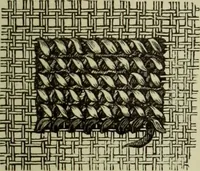 An illustration from The dictionary of needlework : an encyclopaedia of artistic, plain, and fancy needlework dealing fully with the details of all the stitches employed, the method of working, the materials used, the meaning of technical terms, and, where necessary, tracing the origin and history of the various works described (1882)