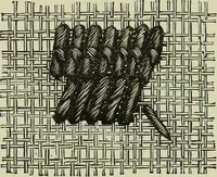 An illustration from The dictionary of needlework : an encyclopaedia of artistic, plain, and fancy needlework dealing fully with the details of all the stitches employed, the method of working, the materials used, the meaning of technical terms, and, where necessary, tracing the origin and history of the various works described (1882)