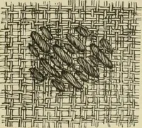 An illustration from The dictionary of needlework : an encyclopaedia of artistic, plain, and fancy needlework dealing fully with the details of all the stitches employed, the method of working, the materials used, the meaning of technical terms, and, where necessary, tracing the origin and history of the various works described (1882)