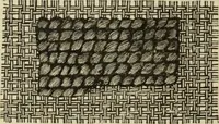 An illustration from The dictionary of needlework : an encyclopaedia of artistic, plain, and fancy needlework dealing fully with the details of all the stitches employed, the method of working, the materials used, the meaning of technical terms, and, where necessary, tracing the origin and history of the various works described (1882)