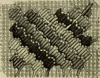 An illustration from The dictionary of needlework : an encyclopaedia of artistic, plain, and fancy needlework dealing fully with the details of all the stitches employed, the method of working, the materials used, the meaning of technical terms, and, where necessary, tracing the origin and history of the various works described (1882)