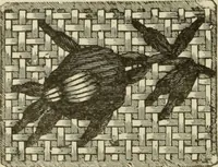 An illustration from The dictionary of needlework : an encyclopaedia of artistic, plain, and fancy needlework dealing fully with the details of all the stitches employed, the method of working, the materials used, the meaning of technical terms, and, where necessary, tracing the origin and history of the various works described (1882)