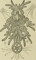 Picture 102 of 213 from The dictionary of needlework : an encyclopaedia of artistic, plain, and fancy needlework dealing fully with the details of all the stitches employed, the method of working, the materials used, the meaning of technical terms, and, where necessary, tracing the origin and history of the various works described (1882), leaf 96