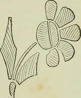 An illustration from The dictionary of needlework : an encyclopaedia of artistic, plain, and fancy needlework dealing fully with the details of all the stitches employed, the method of working, the materials used, the meaning of technical terms, and, where necessary, tracing the origin and history of the various works described (1882)