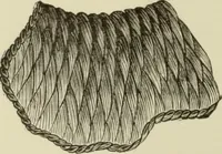 An illustration from The dictionary of needlework : an encyclopaedia of artistic, plain, and fancy needlework dealing fully with the details of all the stitches employed, the method of working, the materials used, the meaning of technical terms, and, where necessary, tracing the origin and history of the various works described (1882)