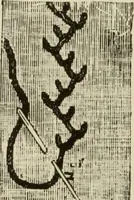 An illustration from The dictionary of needlework : an encyclopaedia of artistic, plain, and fancy needlework dealing fully with the details of all the stitches employed, the method of working, the materials used, the meaning of technical terms, and, where necessary, tracing the origin and history of the various works described (1882)