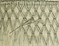 An illustration from The dictionary of needlework : an encyclopaedia of artistic, plain, and fancy needlework dealing fully with the details of all the stitches employed, the method of working, the materials used, the meaning of technical terms, and, where necessary, tracing the origin and history of the various works described (1882)