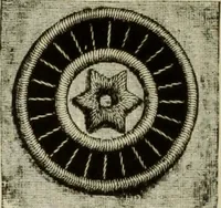 An illustration from The dictionary of needlework : an encyclopaedia of artistic, plain, and fancy needlework dealing fully with the details of all the stitches employed, the method of working, the materials used, the meaning of technical terms, and, where necessary, tracing the origin and history of the various works described (1882)