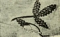 An illustration from The dictionary of needlework : an encyclopaedia of artistic, plain, and fancy needlework dealing fully with the details of all the stitches employed, the method of working, the materials used, the meaning of technical terms, and, where necessary, tracing the origin and history of the various works described (1882)