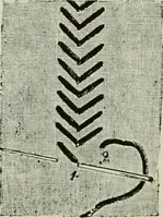 An illustration from The dictionary of needlework : an encyclopaedia of artistic, plain, and fancy needlework dealing fully with the details of all the stitches employed, the method of working, the materials used, the meaning of technical terms, and, where necessary, tracing the origin and history of the various works described (1882)