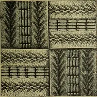 An illustration from The dictionary of needlework : an encyclopaedia of artistic, plain, and fancy needlework dealing fully with the details of all the stitches employed, the method of working, the materials used, the meaning of technical terms, and, where necessary, tracing the origin and history of the various works described (1882)