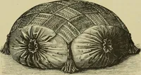 An illustration from The dictionary of needlework : an encyclopaedia of artistic, plain, and fancy needlework dealing fully with the details of all the stitches employed, the method of working, the materials used, the meaning of technical terms, and, where necessary, tracing the origin and history of the various works described (1882)