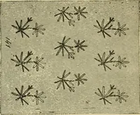 An illustration from The dictionary of needlework : an encyclopaedia of artistic, plain, and fancy needlework dealing fully with the details of all the stitches employed, the method of working, the materials used, the meaning of technical terms, and, where necessary, tracing the origin and history of the various works described (1882)