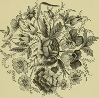 An illustration from The dictionary of needlework : an encyclopaedia of artistic, plain, and fancy needlework dealing fully with the details of all the stitches employed, the method of working, the materials used, the meaning of technical terms, and, where necessary, tracing the origin and history of the various works described (1882)