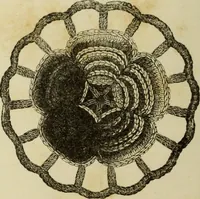 An illustration from The dictionary of needlework : an encyclopaedia of artistic, plain, and fancy needlework dealing fully with the details of all the stitches employed, the method of working, the materials used, the meaning of technical terms, and, where necessary, tracing the origin and history of the various works described (1882)