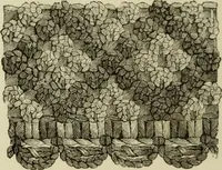 An illustration from The dictionary of needlework : an encyclopaedia of artistic, plain, and fancy needlework dealing fully with the details of all the stitches employed, the method of working, the materials used, the meaning of technical terms, and, where necessary, tracing the origin and history of the various works described (1882)