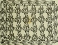 An illustration from The dictionary of needlework : an encyclopaedia of artistic, plain, and fancy needlework dealing fully with the details of all the stitches employed, the method of working, the materials used, the meaning of technical terms, and, where necessary, tracing the origin and history of the various works described (1882)