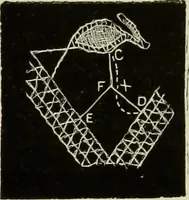 An illustration from The dictionary of needlework : an encyclopaedia of artistic, plain, and fancy needlework dealing fully with the details of all the stitches employed, the method of working, the materials used, the meaning of technical terms, and, where necessary, tracing the origin and history of the various works described (1882)