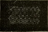 An illustration from The dictionary of needlework : an encyclopaedia of artistic, plain, and fancy needlework dealing fully with the details of all the stitches employed, the method of working, the materials used, the meaning of technical terms, and, where necessary, tracing the origin and history of the various works described (1882)