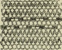 An illustration from The dictionary of needlework : an encyclopaedia of artistic, plain, and fancy needlework dealing fully with the details of all the stitches employed, the method of working, the materials used, the meaning of technical terms, and, where necessary, tracing the origin and history of the various works described (1882)