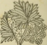 An illustration from The dictionary of needlework : an encyclopaedia of artistic, plain, and fancy needlework dealing fully with the details of all the stitches employed, the method of working, the materials used, the meaning of technical terms, and, where necessary, tracing the origin and history of the various works described (1882)