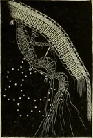 An illustration from The dictionary of needlework : an encyclopaedia of artistic, plain, and fancy needlework dealing fully with the details of all the stitches employed, the method of working, the materials used, the meaning of technical terms, and, where necessary, tracing the origin and history of the various works described (1882)