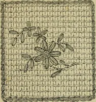 An illustration from The dictionary of needlework : an encyclopaedia of artistic, plain, and fancy needlework dealing fully with the details of all the stitches employed, the method of working, the materials used, the meaning of technical terms, and, where necessary, tracing the origin and history of the various works described (1882)
