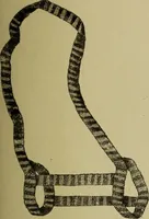 An illustration from The dictionary of needlework : an encyclopaedia of artistic, plain, and fancy needlework dealing fully with the details of all the stitches employed, the method of working, the materials used, the meaning of technical terms, and, where necessary, tracing the origin and history of the various works described (1882)