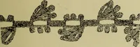 An illustration from The dictionary of needlework : an encyclopaedia of artistic, plain, and fancy needlework dealing fully with the details of all the stitches employed, the method of working, the materials used, the meaning of technical terms, and, where necessary, tracing the origin and history of the various works described (1882)