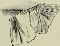 An illustration from The dictionary of needlework : an encyclopaedia of artistic, plain, and fancy needlework dealing fully with the details of all the stitches employed, the method of working, the materials used, the meaning of technical terms, and, where necessary, tracing the origin and history of the various works described (1882)