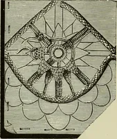 An illustration from The dictionary of needlework : an encyclopaedia of artistic, plain, and fancy needlework dealing fully with the details of all the stitches employed, the method of working, the materials used, the meaning of technical terms, and, where necessary, tracing the origin and history of the various works described (1882)