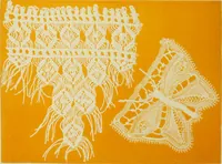 Picture 2 of 212 from The dictionary of needlework : an encyclopaedia of artistic, plain, and fancy needlework dealing fully with the details of all the stitches employed, the method of working, the materials used, the meaning of technical terms, and, where necessary, tracing the origin and history of the various works described (1882), leaf 6