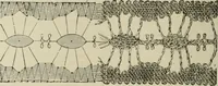 An illustration from The dictionary of needlework : an encyclopaedia of artistic, plain, and fancy needlework dealing fully with the details of all the stitches employed, the method of working, the materials used, the meaning of technical terms, and, where necessary, tracing the origin and history of the various works described (1882)
