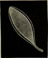 An illustration from The dictionary of needlework : an encyclopaedia of artistic, plain, and fancy needlework dealing fully with the details of all the stitches employed, the method of working, the materials used, the meaning of technical terms, and, where necessary, tracing the origin and history of the various works described (1882)