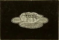 An illustration from The dictionary of needlework : an encyclopaedia of artistic, plain, and fancy needlework dealing fully with the details of all the stitches employed, the method of working, the materials used, the meaning of technical terms, and, where necessary, tracing the origin and history of the various works described (1882)