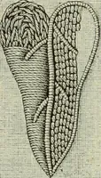 An illustration from The dictionary of needlework : an encyclopaedia of artistic, plain, and fancy needlework dealing fully with the details of all the stitches employed, the method of working, the materials used, the meaning of technical terms, and, where necessary, tracing the origin and history of the various works described (1882)