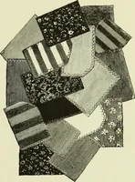 An illustration from The dictionary of needlework : an encyclopaedia of artistic, plain, and fancy needlework dealing fully with the details of all the stitches employed, the method of working, the materials used, the meaning of technical terms, and, where necessary, tracing the origin and history of the various works described (1882)
