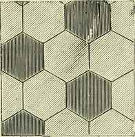 An illustration from The dictionary of needlework : an encyclopaedia of artistic, plain, and fancy needlework dealing fully with the details of all the stitches employed, the method of working, the materials used, the meaning of technical terms, and, where necessary, tracing the origin and history of the various works described (1882)
